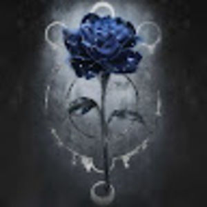 Meet your Posher, Kirie